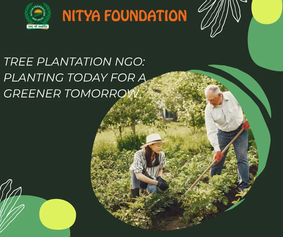 Environmental NGO in India: How Nitya Foundation Drives Tree Plantation, Climate Action and Nature Conservation